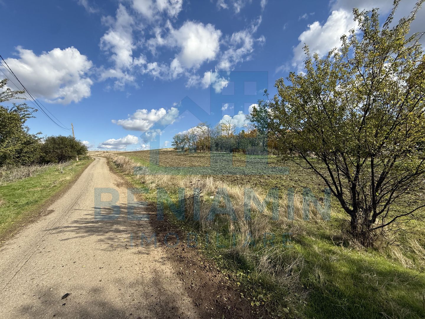 Teren intravilan - 1000mp - utilitati - deschidere mare - Mischii - Poză 3