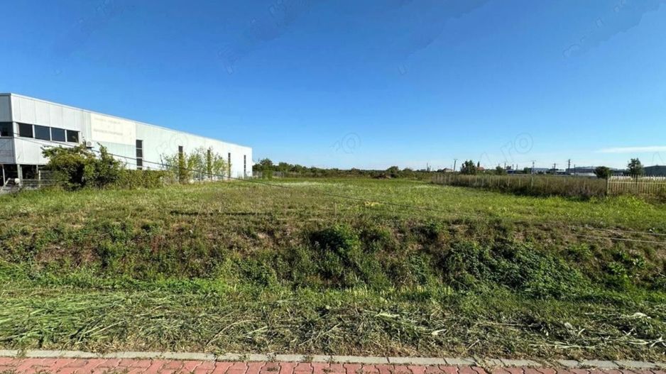 Teren de Inchiriat - Remetea Mare - 3200mp - Poză 3