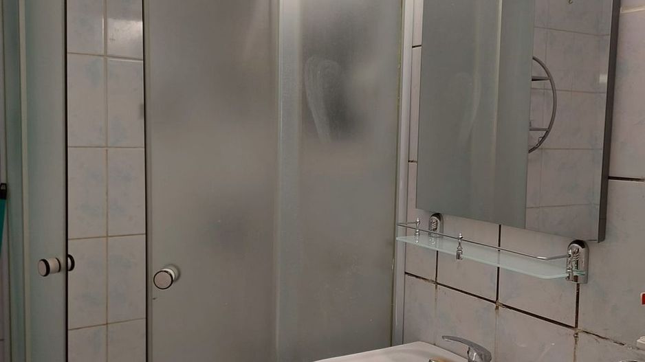 Apartament 2 camere Pet Friendly, complet mobilat si utilat, Lujerului - Poză 9