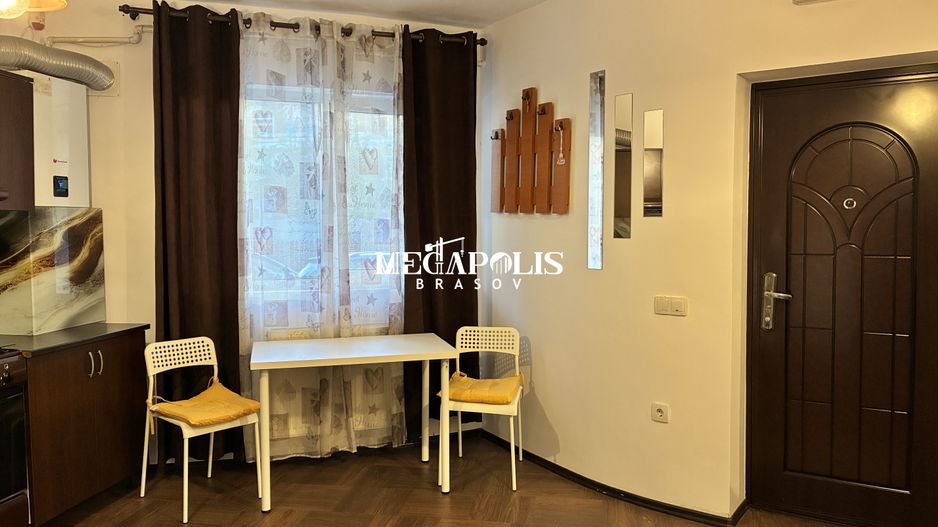 Studio / Tractorul / Pet- Friendly / Curte - Poză 5