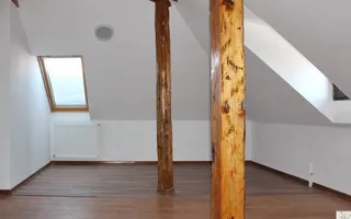 Casa Restaurant cu gradina - 250 mp - Poză 11