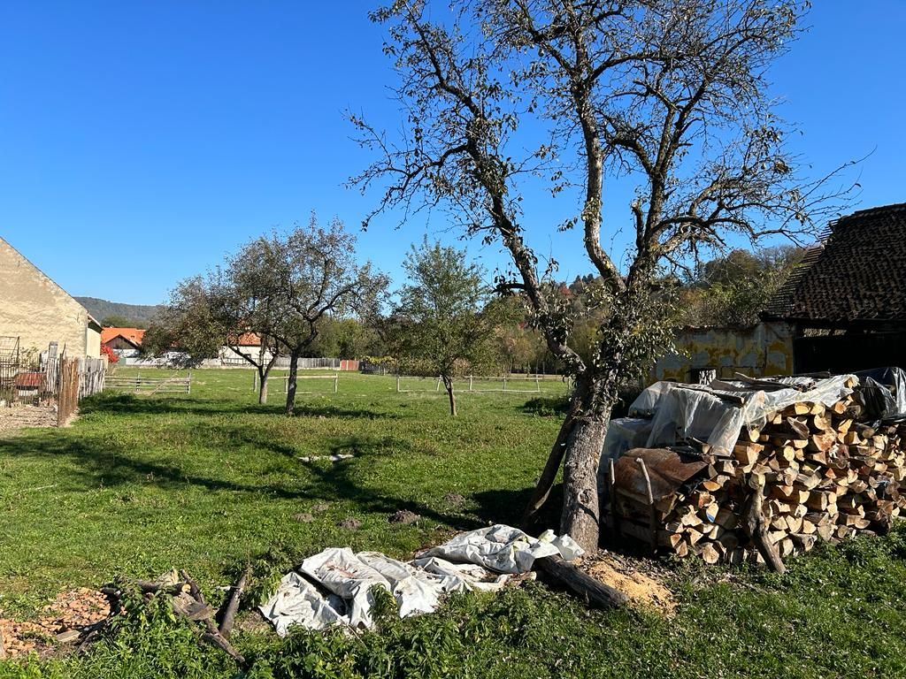 Teren intravilan Sinca Noua - Poză 1