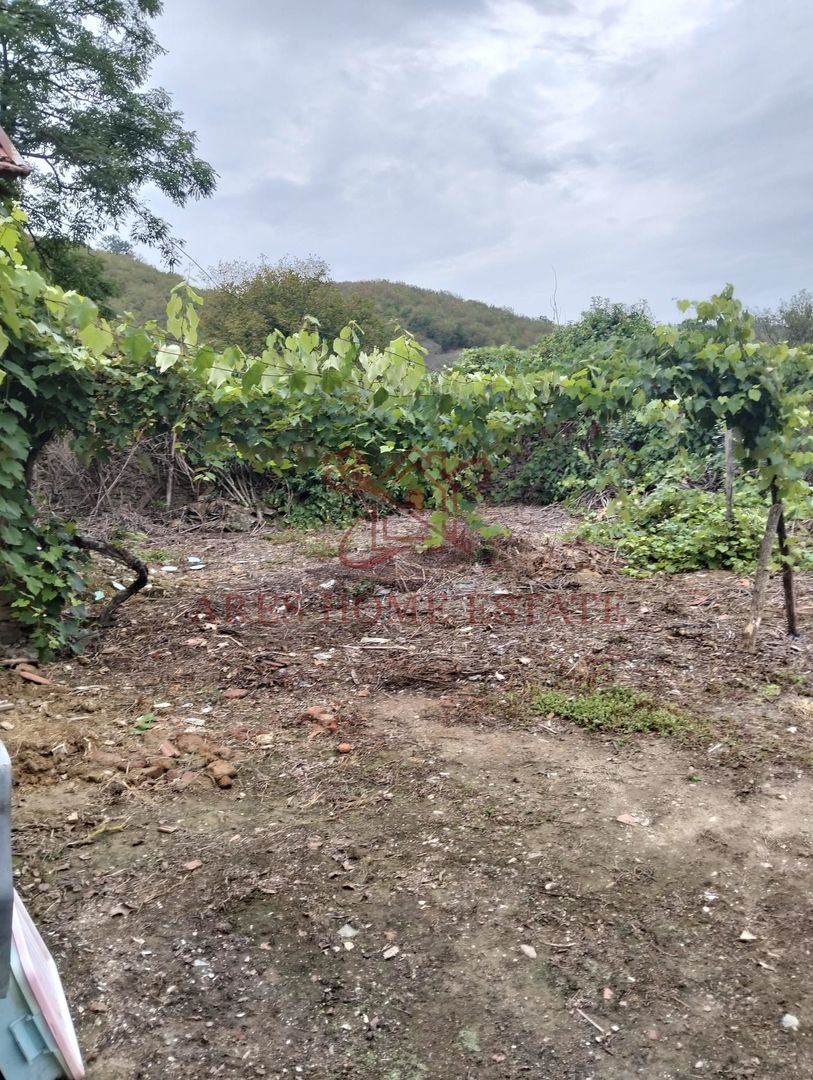 Casa spatioasa | 1500 mp teren - Ticvaniu Mare CS - Poză 10