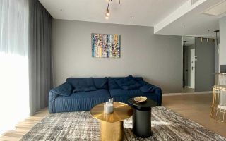 Apartament 2 camere | One Herastrau Towers | Premium - Poză 1