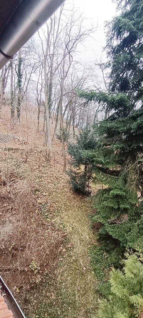 Proprietate cu priveliste si armonie placuta-Brasov - Poză 10