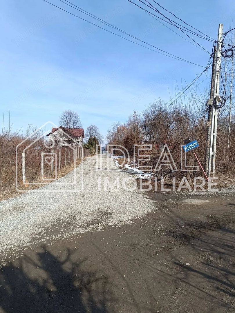 Teren 25.500 mp Valea Avrigului - Poză 2