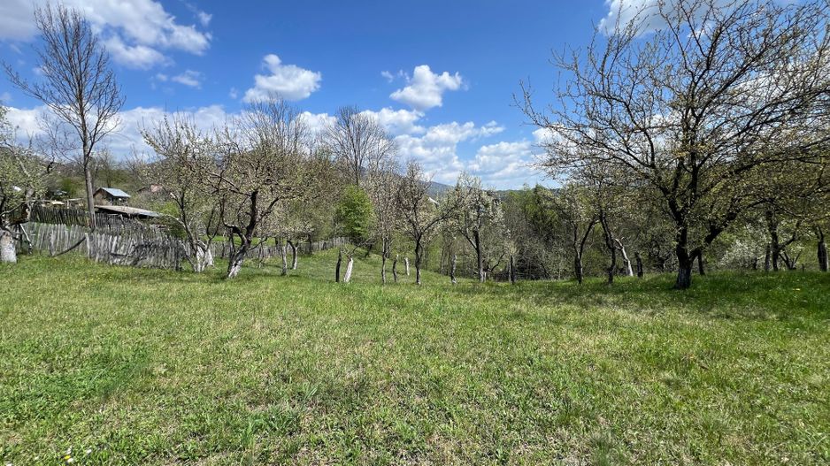 Conac 10 camere | renovat integral | Arefu | Baraj Vidraru - Poză 8