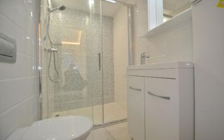 Ion Mihalache (1 Mai)- Ciuperca- Av Popisteanu- Expozitiei- Domenii - Poză 11