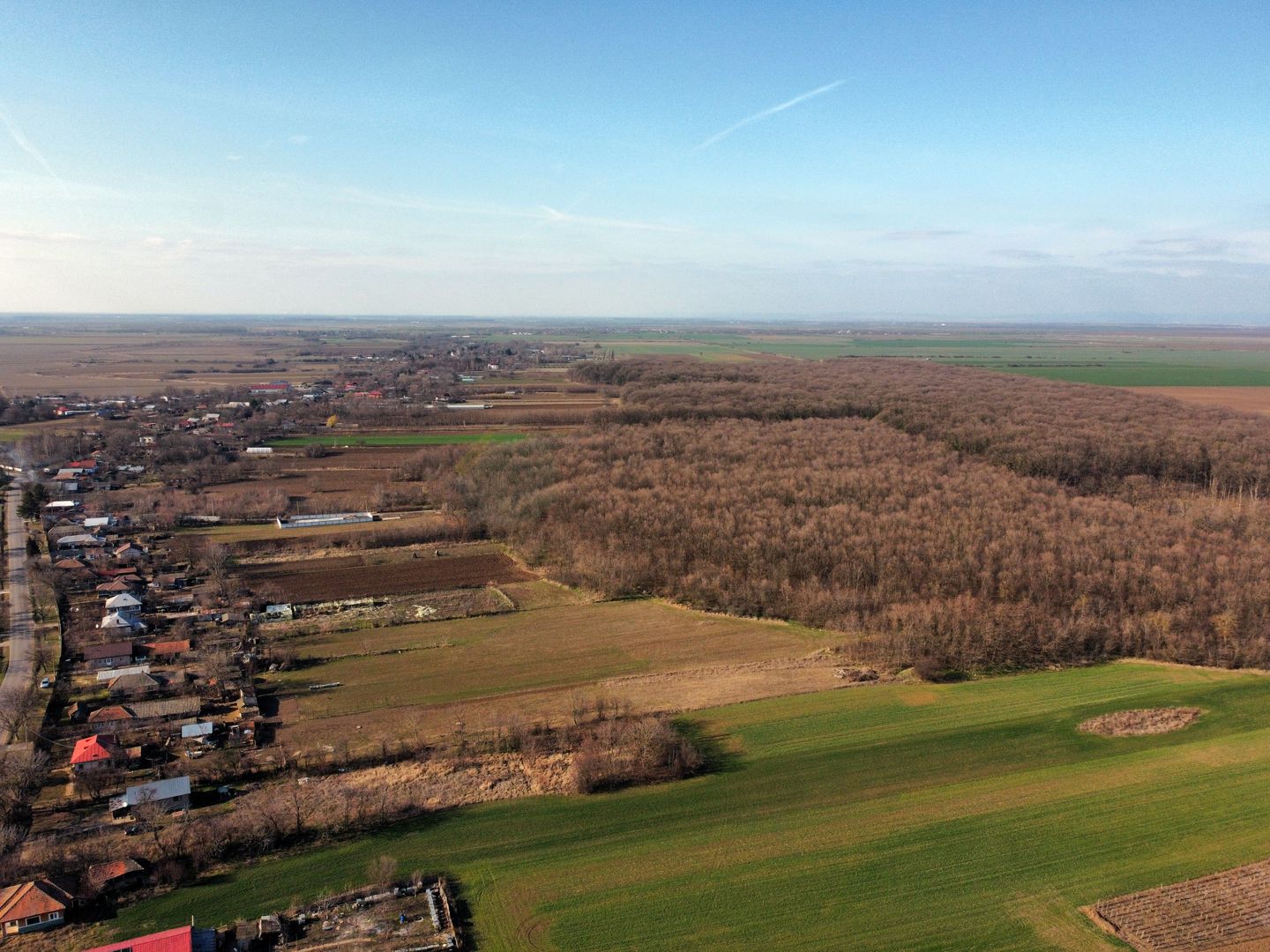 Ferma si livada de meri in judetul Ilfov - Poză 16