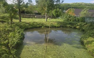 Oază de liniște și natură! Casă  cu 2 heleșteie și pârâu în curte – Probota - Poză 9