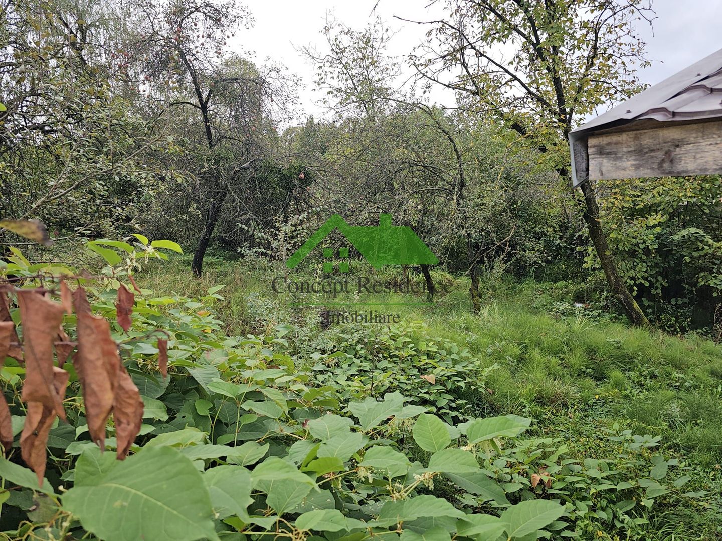 Vânzare teren intravilan 2800 mp – Baia Sprie, cartier de case - Poză 3