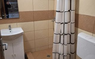 Buziasului | 1 Camera | Recent renovata | Disponibil imediat - Poză 9