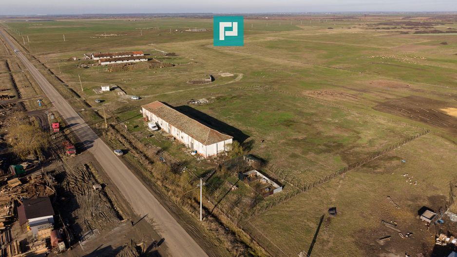 Hală industrială cu teren generos în Zărand, Arad - Poză 59