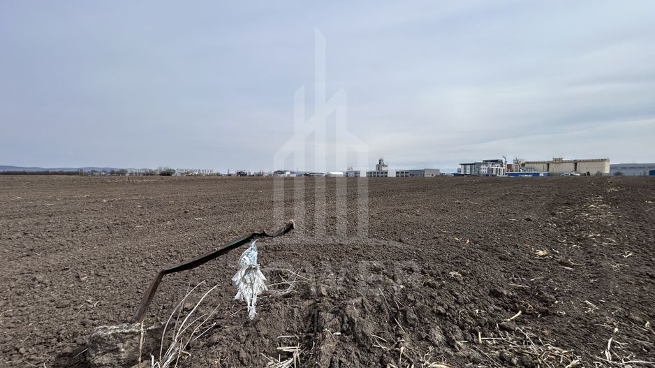 Teren intravilan de vânzare – 10.000 mp – Zona Industrială Vest | Comision 0% - Poză 4