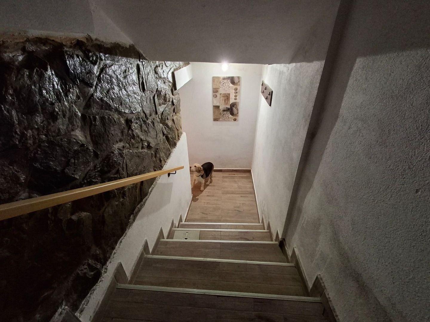 Casa de vanzare in Sibiu, birouri, clinica ,Parcul Sub Arini - Poză 25