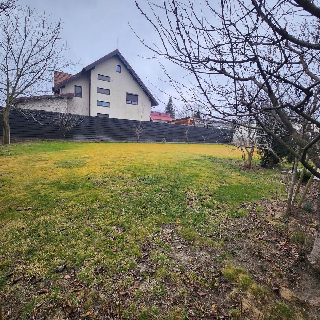 Vila cu piscina Snagov Ciofliceni - Poză 29