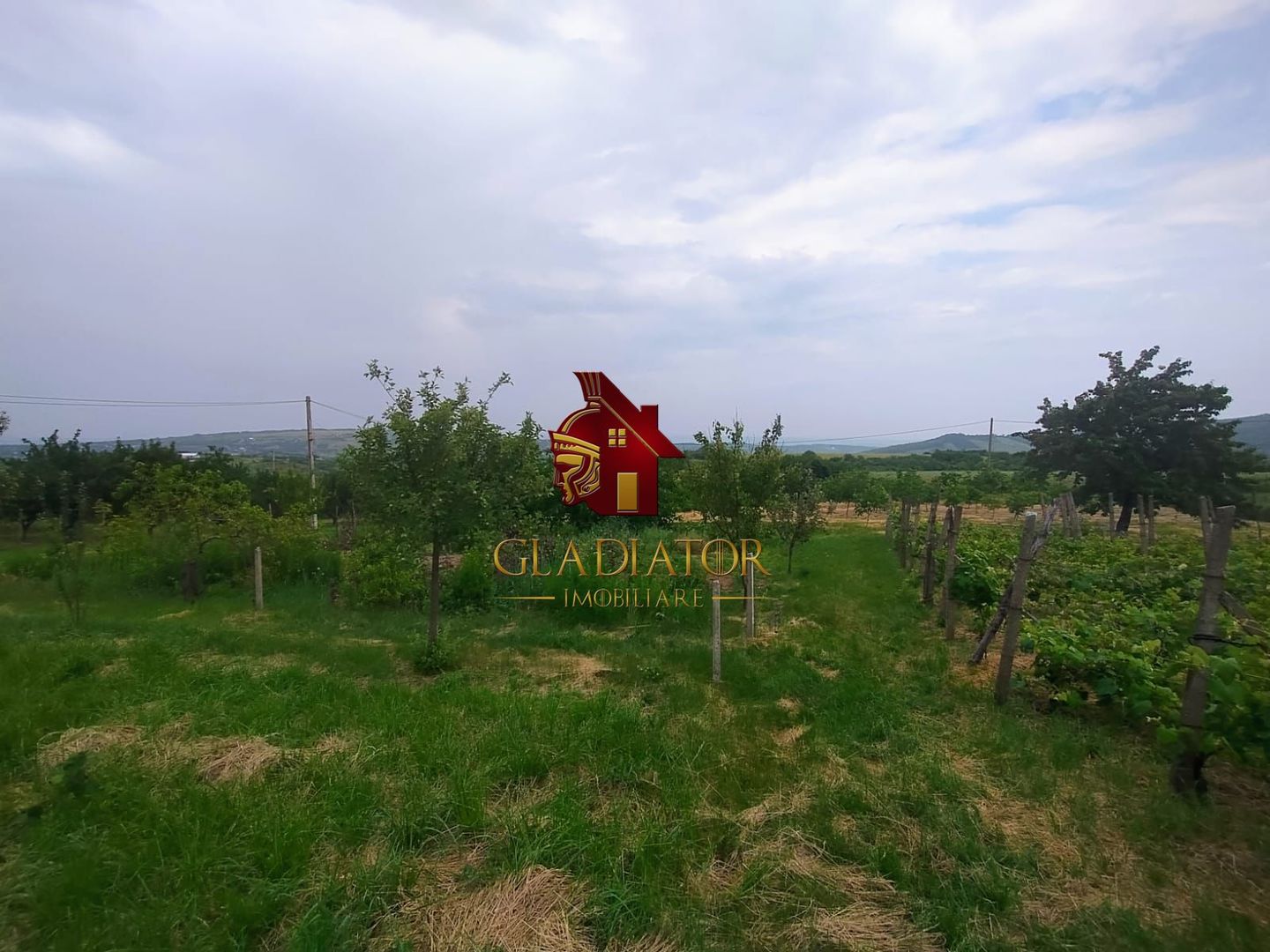 Casa + garaj + 5400 mp teren in Tomesti Goruni, zona de vis, nu rata - Poză 12