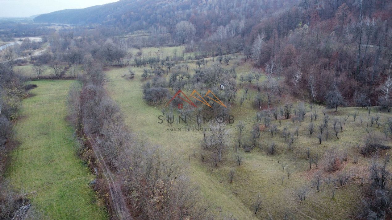 Teren 36000 m2, intravilan+partial extravilan, cadastru, Draganeasa PH - Poză 6