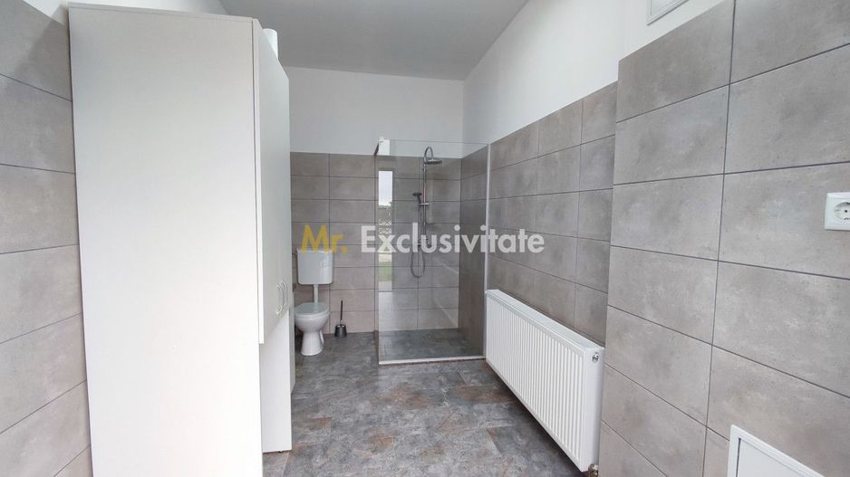 Inchiriere Spații de Birouri/Producție - Str. Uzinei - Carei - Comision 0% - Poză 11