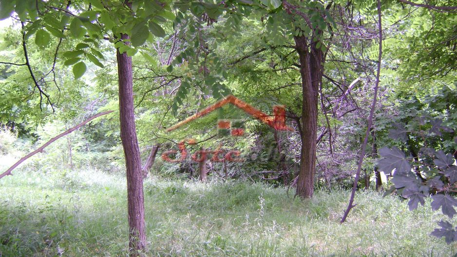 Teren de vanzare Cornu 3074 mp - Poză 5