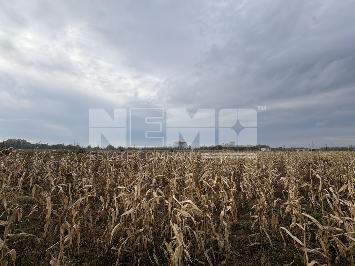 Teren de vânzare | 52 ari | intravilan | Zonă liniștită | Rădăuți - Poză 3