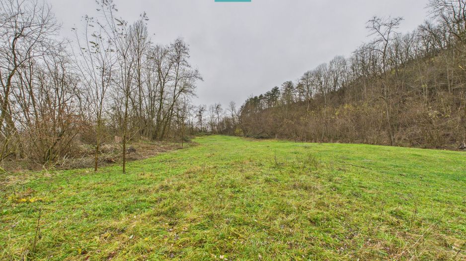 Casă cu teren de 24.679,73 mp, în Hălmagiu, Arad - Poză 32