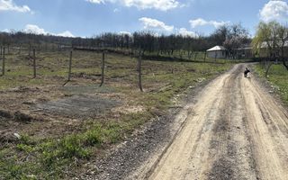 Terenuri intravilan în satul Vladiceni, comuna Tomești - Poză 2