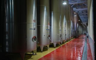 Vă invităm să investiți într-o afacere cu un raport de profitabilitate ridicat. - Poză 13