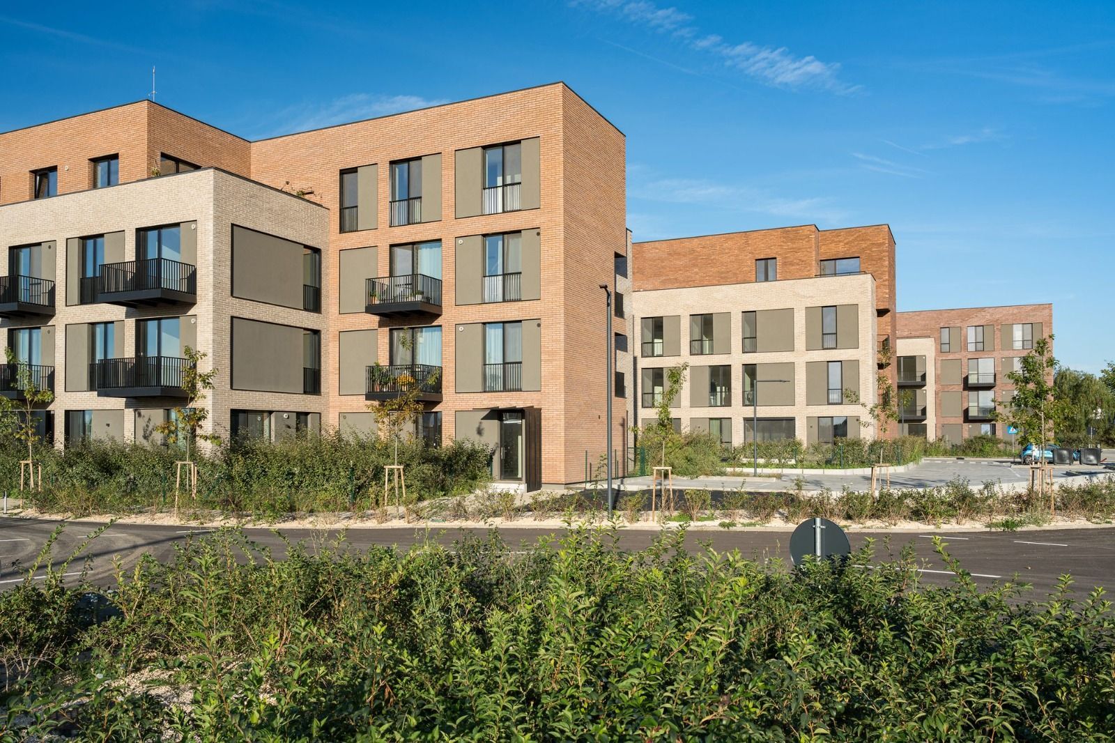 Apartament de 2 camere in Amber Forest, prima inchiriere - Poză 2