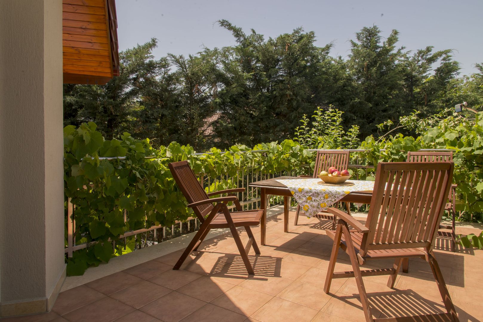 Generoasa si spatioasa - Poză 4