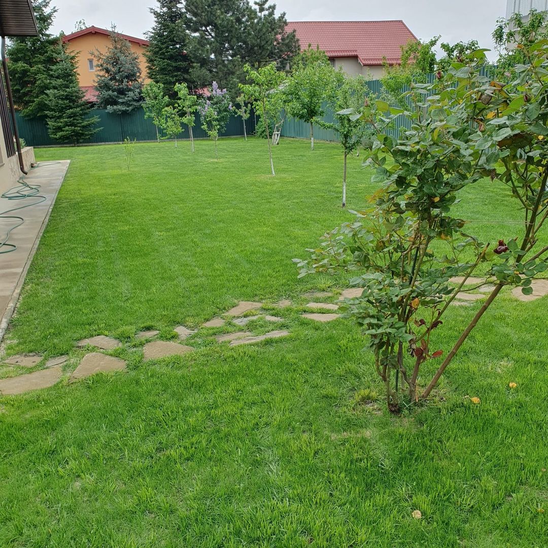 MOGOȘOAIA – VILĂ CU 4 CAMERE, TEREN 971 MP, CURTE ȘI GRĂDINĂ! - Poză 19