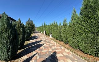 Casa noua pe un singur nivel, Alba-Micesti - Poză 8