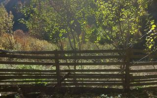 Super ofertă 35000 teren in Muntii Apuseni - Poză 21