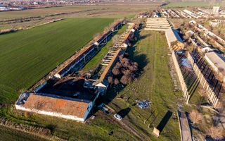 NĂDLAC | Teren 1.15 HA lângă Autostradă | 2.500mp Hale - Poză 5