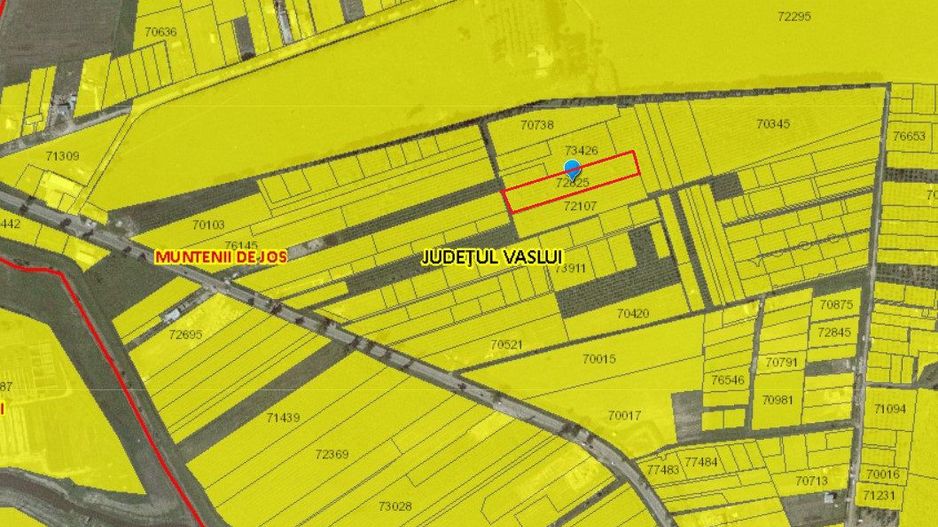 TEREN INTRAVILAN 4700 mp, zona CUVAS - Muntenii de Jos; - Poză 1