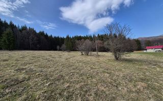 Teren intravilan la baza pădurii Valea Doftanei sat Traisteni (poduri) - Poză 2