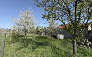 Teren Intravilan 980 mp Carei -GrădinaViilor Zona Str. Livezilor - Comision 0% - Poză 11