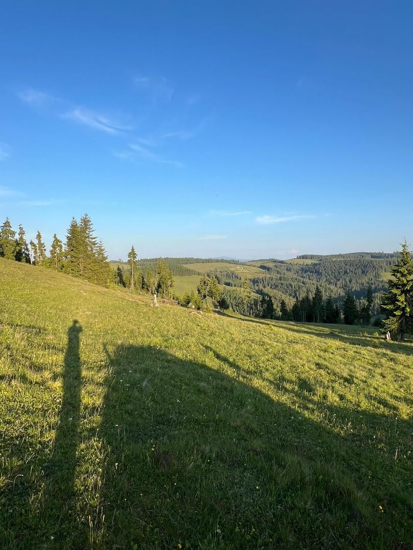 50 hectare teren | Moldova-Sulita | Potential turistic si agricol - Poză 4