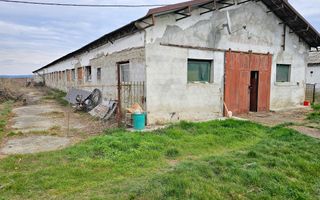 2 Hale pt.depozitare sau productie, 6100 teren, Lunca Muresului - Poză 3