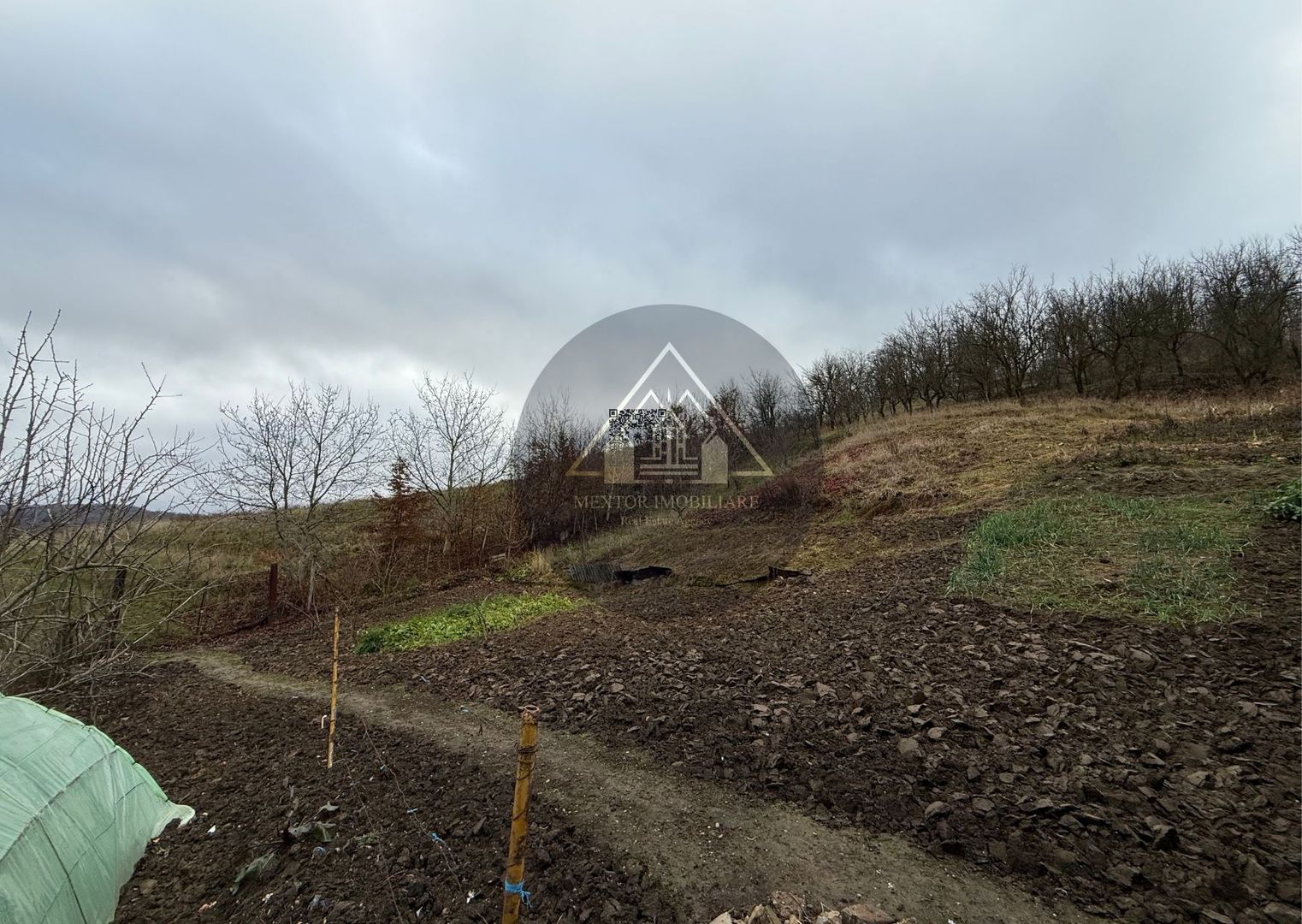 Casa 3 camere, Medias - Poză 18