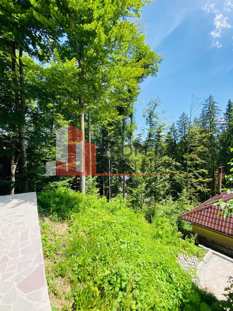 Vila Sinaia - Poză 50