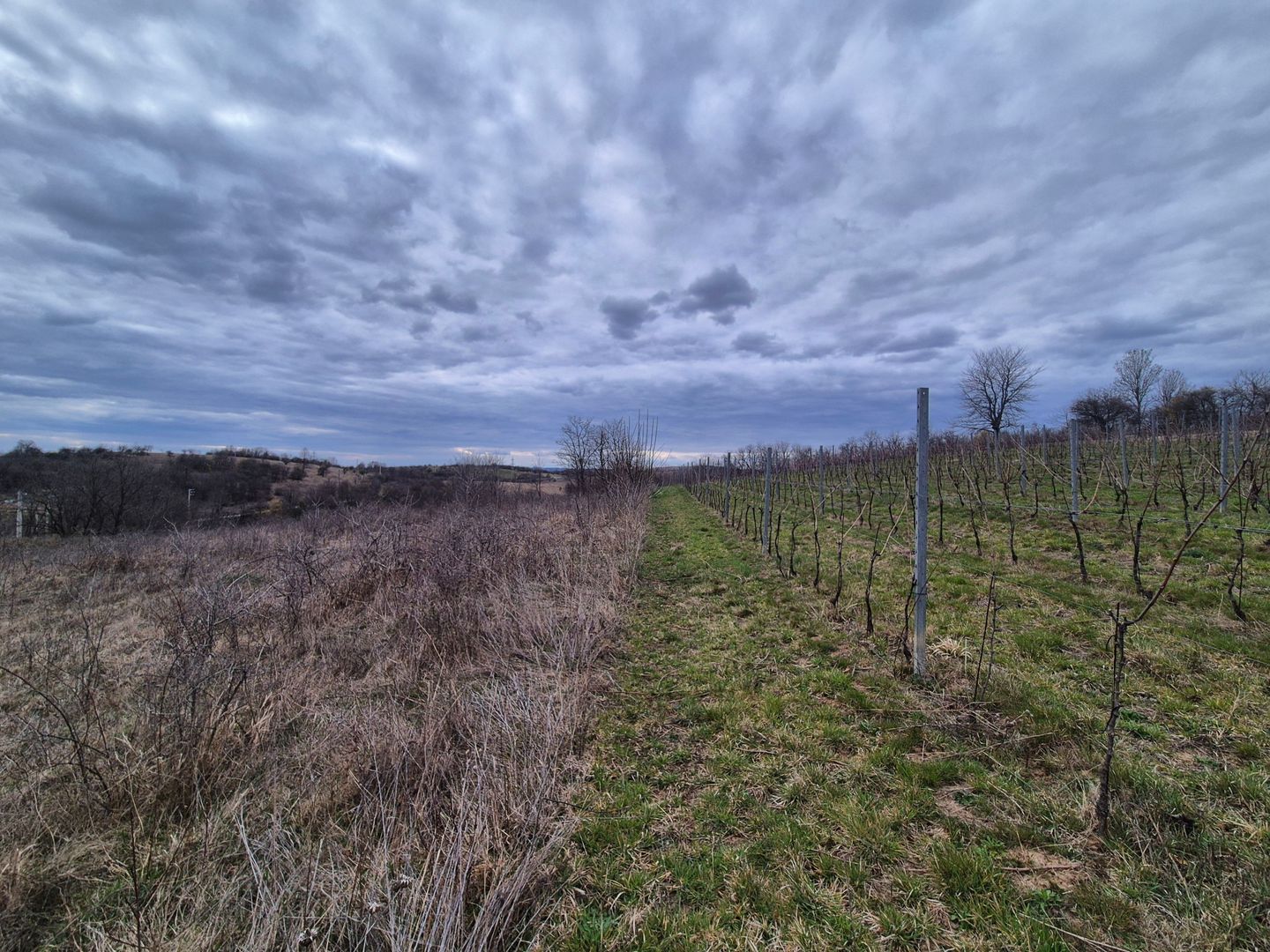 Vand 2 parcele de 5700 mp zona Iabalcea - Poză 1