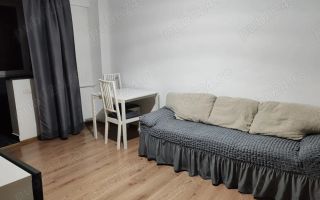 Inchiriere apartament Teiul Doamnei - Poză 2