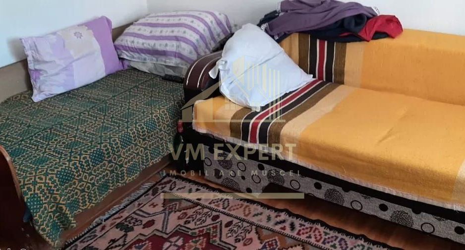 CASA 3 CAMERE, TEREN 5000 MP, RUCAR, ARGES - Poză 5