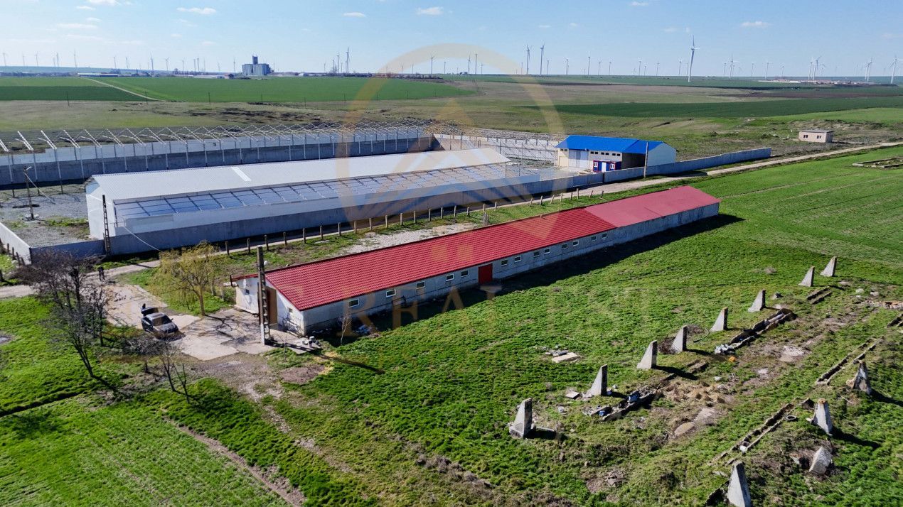 Tariverde - Ferma zootehnica functionala, 3 hectare teren intravilan! - Poză 7