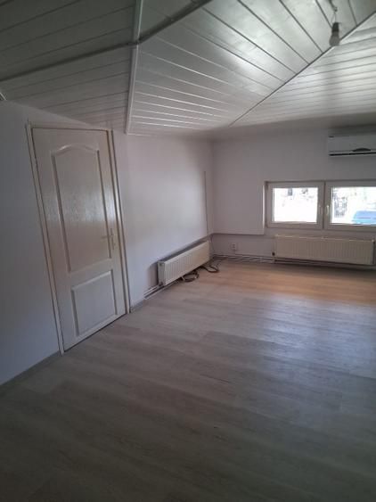 Vila D+P+M; ideal firma Tineretului - Poză 14