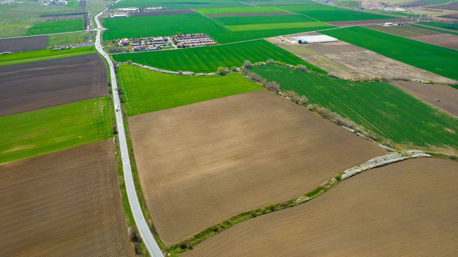 Teren extravilan între Arad și Zimand - Poză 3