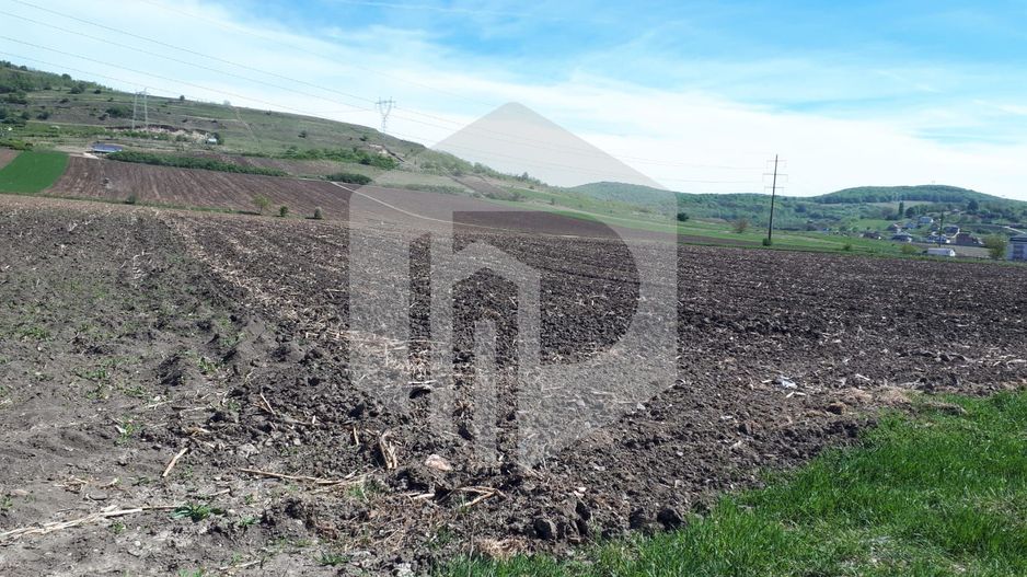 Teren de Vanzare - Extravilan - 23.300mp - Gusterita - 0% Comision - Poză 3