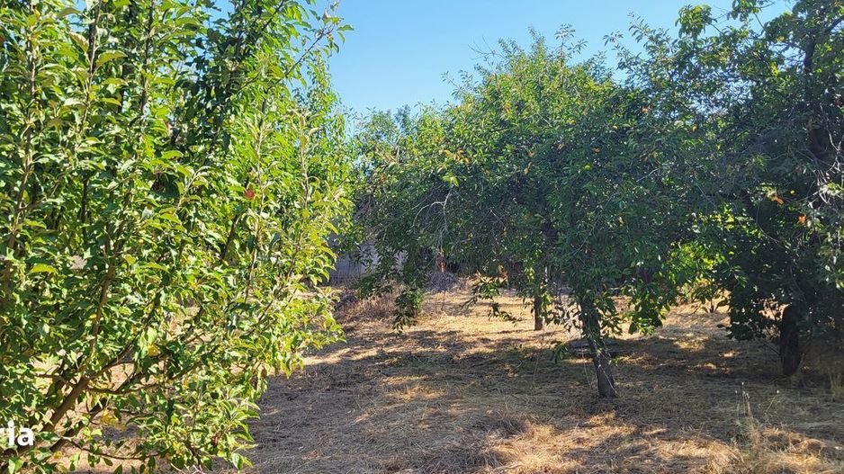 BRASADAS vinde casa in zona str. Teilor. - Poză 4