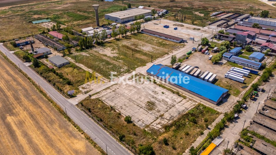Teren industrial 16.000 mp lângă Autostrada A1 – Căteasca - Poză 3